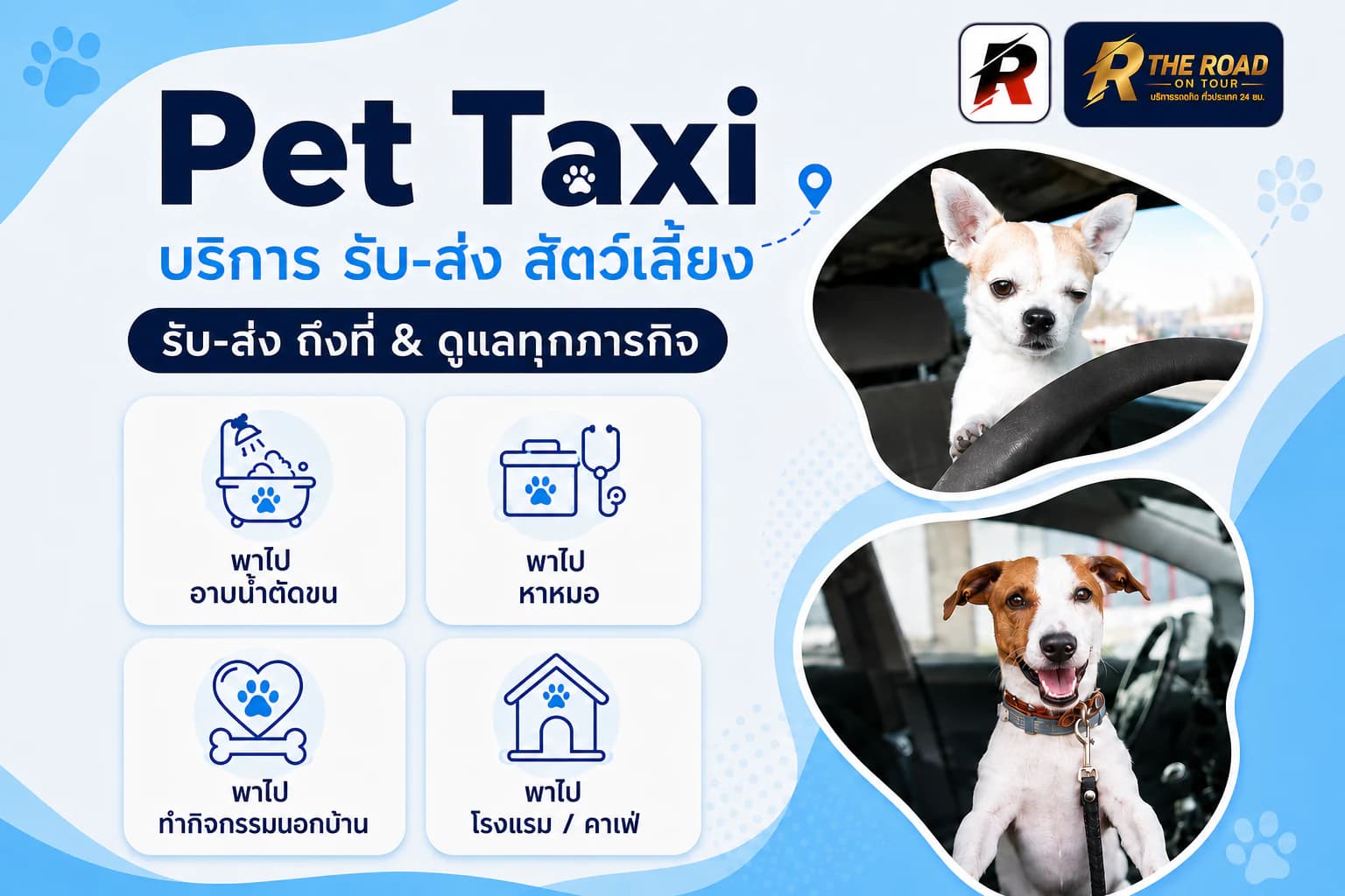 Pet Taxi Service